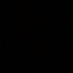 Meet your Posher, Eloise